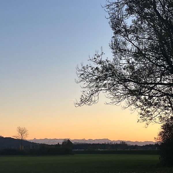 kreuz_friesenhofen_umgebung-img_0249