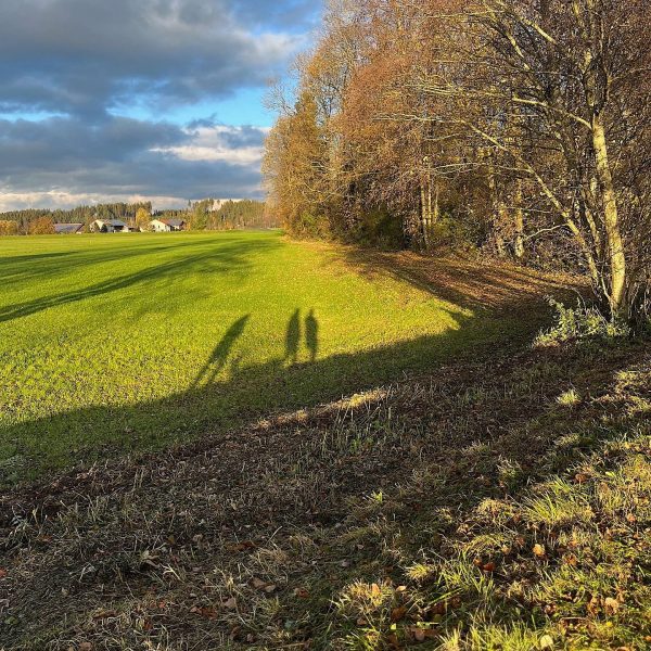 kreuz_friesenhofen_umgebung-img_0312